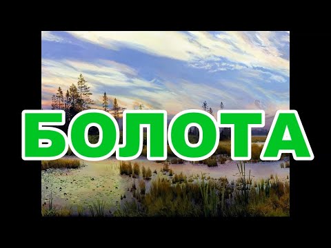 Болота. Урок географии 6 класс.