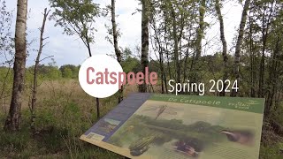 Metamorphosis in Catspoele Nature Reserve