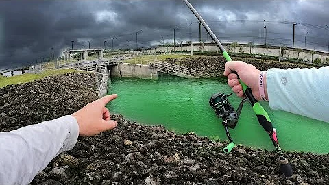 Chasing INVASIVE Exotic Fish In Spillways & Canals