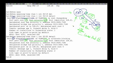 400 101 CCIE Routing and Switching 11 PVST+ & PVST Optimizations