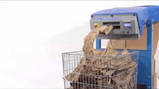 Download Lagu PadPak LC - Paper Cushioning Packaging Machine | Ranpak MP3 Download Lagu PadPak LC - Paper Cushioning Packaging Machine | Ranpak MP3