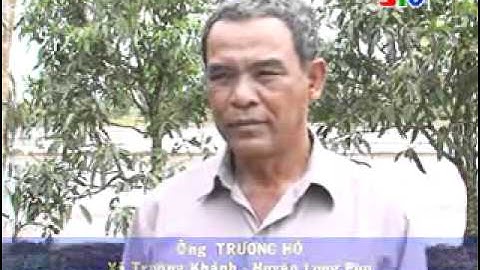 6 phòng trừ cỏ dại và ốc bưu vàng