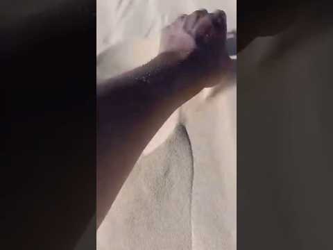 صيد ابو كشاش بطريقه اثر الرمال البدو وبس