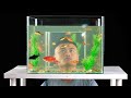 This Aquarium Takes You Into the Underwater World