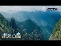 《地理中国》 穿越险境·丛林秘境 探秘神农架 20191015 | CCTV科教