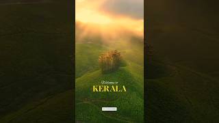 Escape To Paradise Kerala Tour | Kerala Honeymoon Tour #travel #love #couple #kerala