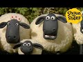 Shaun the Sheep 🐑 SHOCKED SHEEP! - Cartoons for Kids 🐑 Full Episodes Compilation [1 hour]