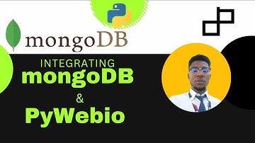 Pywebio: How to Integrate MongoDB into your Web App.
