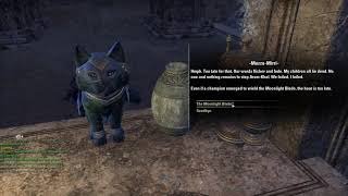 ESO: Taking Orders from a Tiny Khajiit in Elsweyr