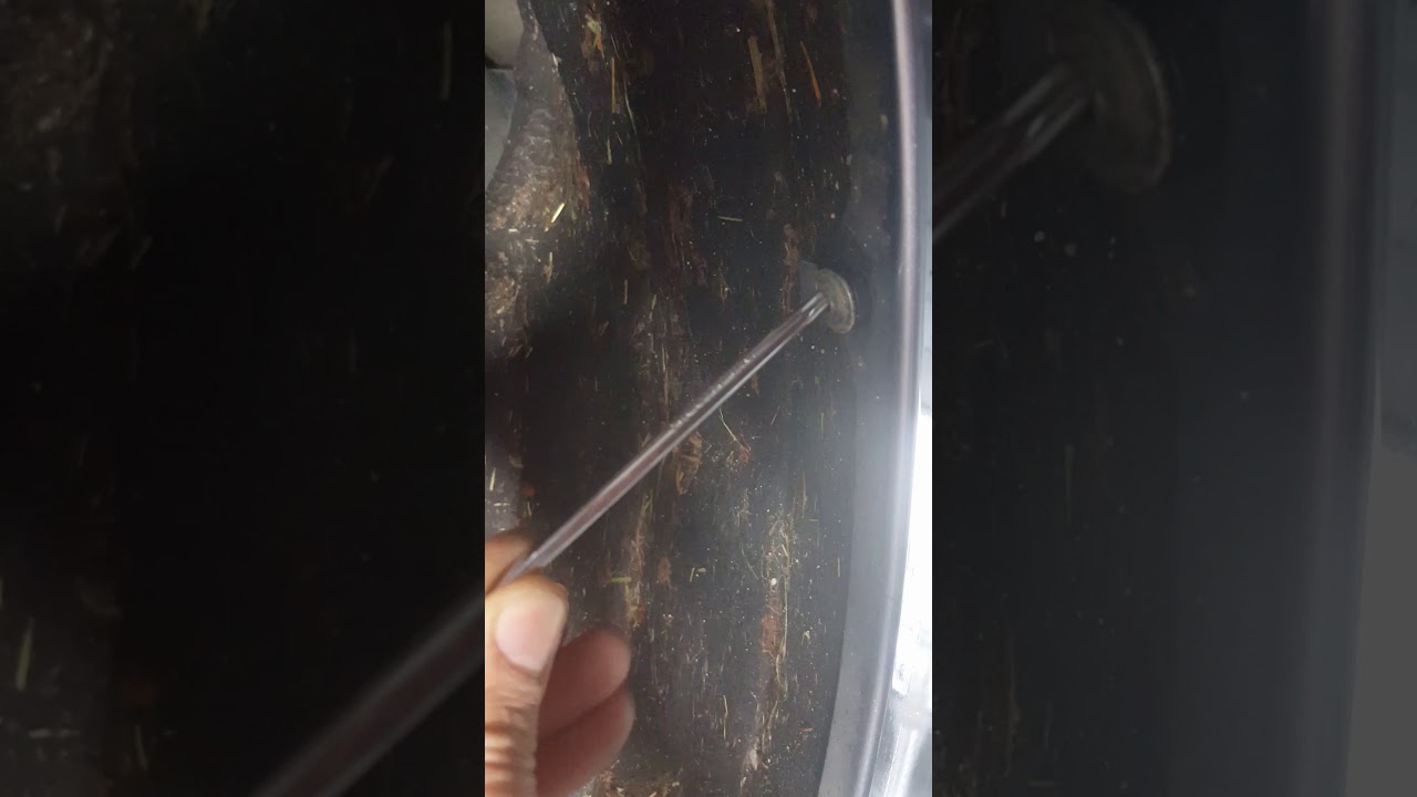 Waschwasser auffullen ошибка фольксваген