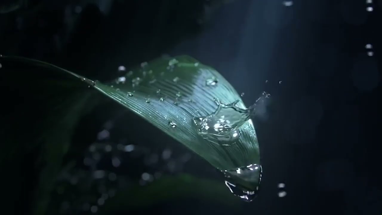 Radiant Florals & Amber Perfume for Woman by Habibi New York