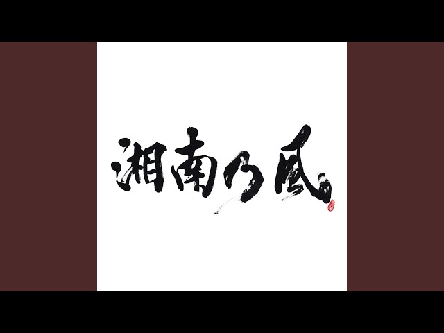 disco sounds now&then/100 soul cab 和物 100 SOUL CAB ‎/ ディスコ・サウンズ・ナウ・アンド・ゼン DISCO