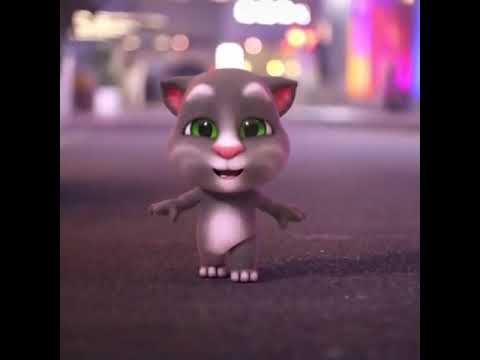 AKKU SAYA SONG WITH TALKING TOM DANCE