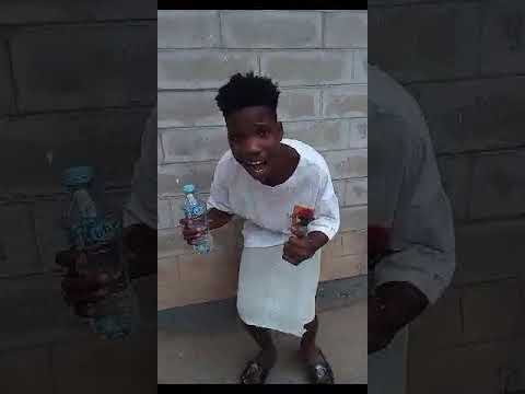 Tk Wizzy 48 Nipo Single