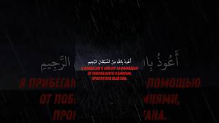 Сура 69: Аль-Хакка (Судный день) Аяты: 25-31 Чтец: Махди Аш-Шишани