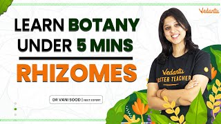 Learn Botany In 5 Mins - Rhizomes Vani Maam In Her Live Garden Vedantu Biotonic