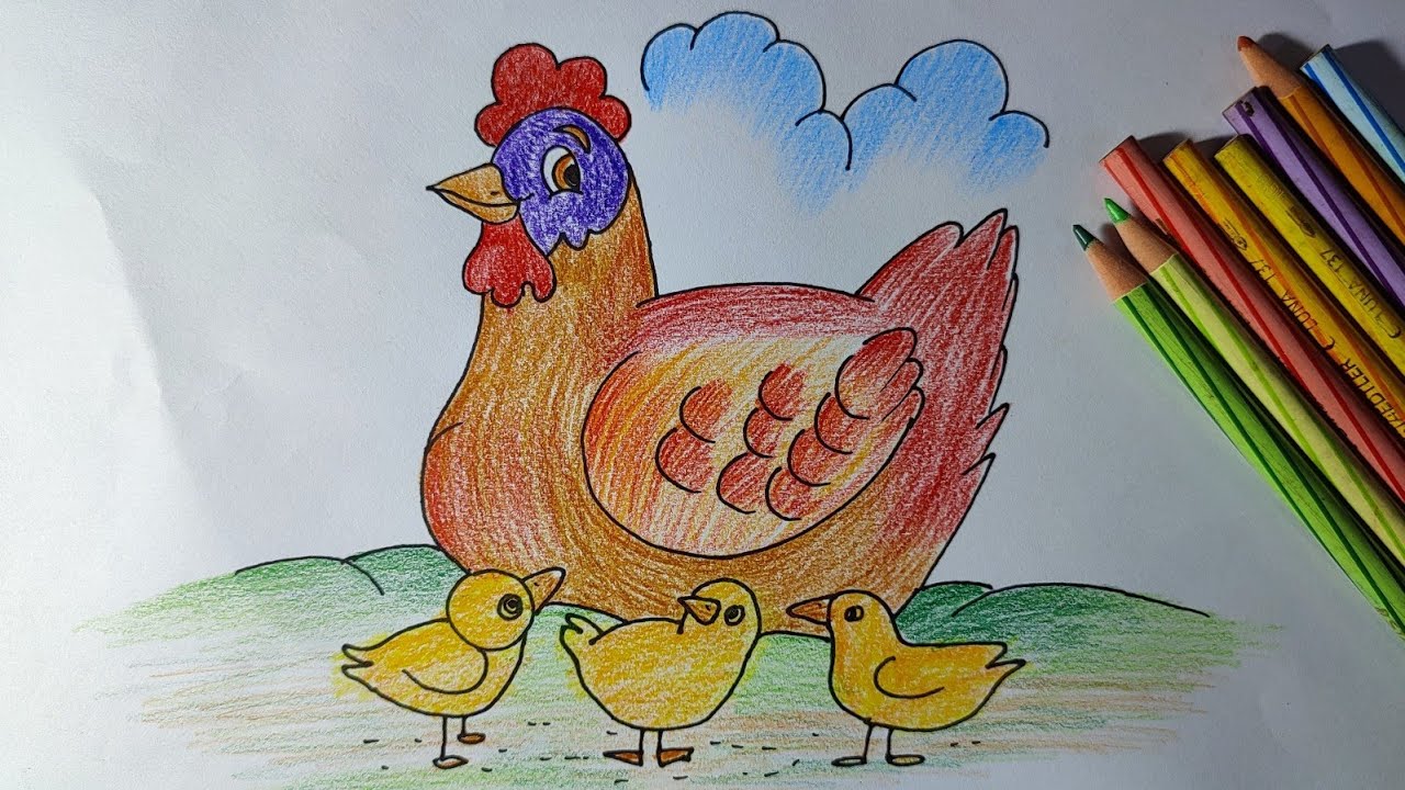 easy-pencil-colours-hen-drawing-how-to-draw-a-hen-beautiful-colours