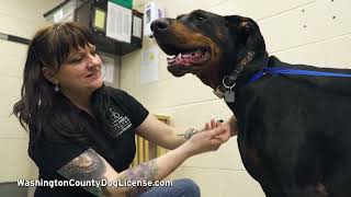 Dog licensing helps lost pets get back home!