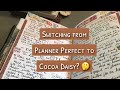 Planner perfect or cocoa daisy or both