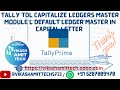 Tally TDL Capitalize Ledgers Master Module l Default Ledger Master in Capital Letter