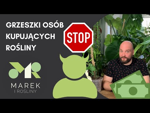 Wideo: Przewodnik Po Wieszakach Na Rośliny