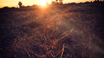 The Last Light Tutorials 20 By Stopbox [Photoshop CC,Analog EFEX Pro 2,Color EFEX Pro 4]