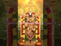 🙏 Tirumala Tirupati Balaji Darshan | Divine Vibes from Tirumala Temple ✨