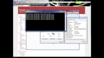 OpenVPN Tomato Bridge Setup