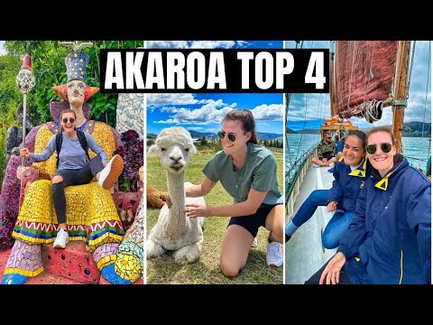 Akaroa // Akaroa New Zealand GUIDE! WHAT TO DO in Akaroa!