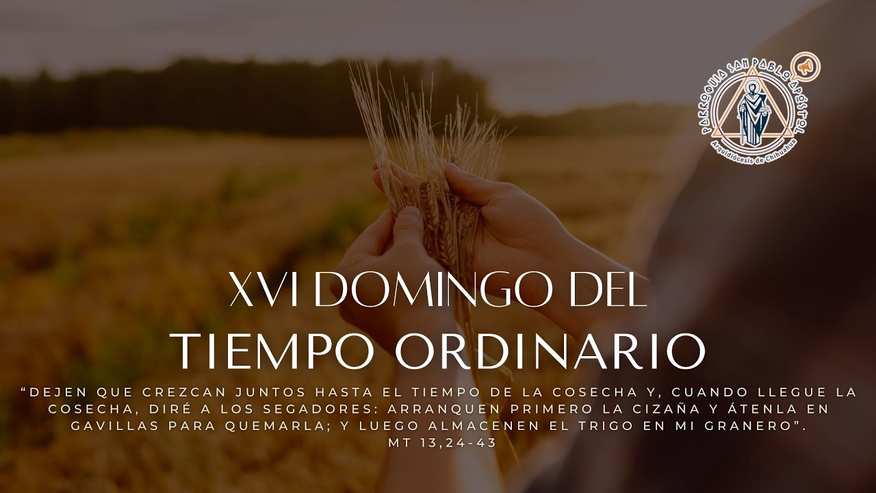 XVI Domingo del Tiempo Ordinario. 19 de julio 2026. Santa Misa 11:00 a.m.