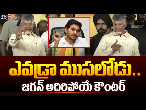 ఎవడ్రా ముసలోడు.. | Chandrababu Naidu Counters on YS Jagan Comments | YSRCP | TV5 News - TV5NEWS