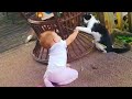 Funniest Babies and Cats Are Best Partner |Lovely Moment Of Life