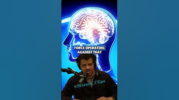 De waarheid over de mythe van de 10% hersenen