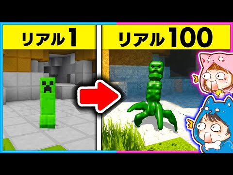 レベルが上がるたびにリアルになっていくマインクラフト✨💨【 マイクラ / まいくら 】