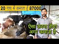 Maa Dairy Farm Bikram Patna Bihar