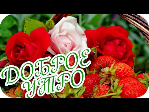 Доброе утро! ❤️ С добрым утром! ❤️ Жизнь прекрасна! ❤️ Good morning! ❤️