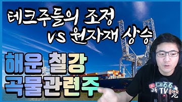 테크주들의 조정 VS 원자재 상승_ 해운 철강 곡물관련주