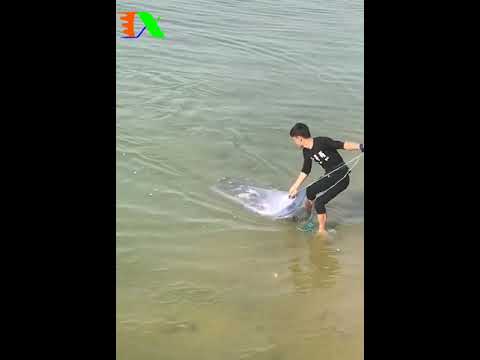 Sử dụng Chài