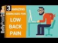 3 Exercises for Stronger Lower Back (low back pain and sciatica relief)