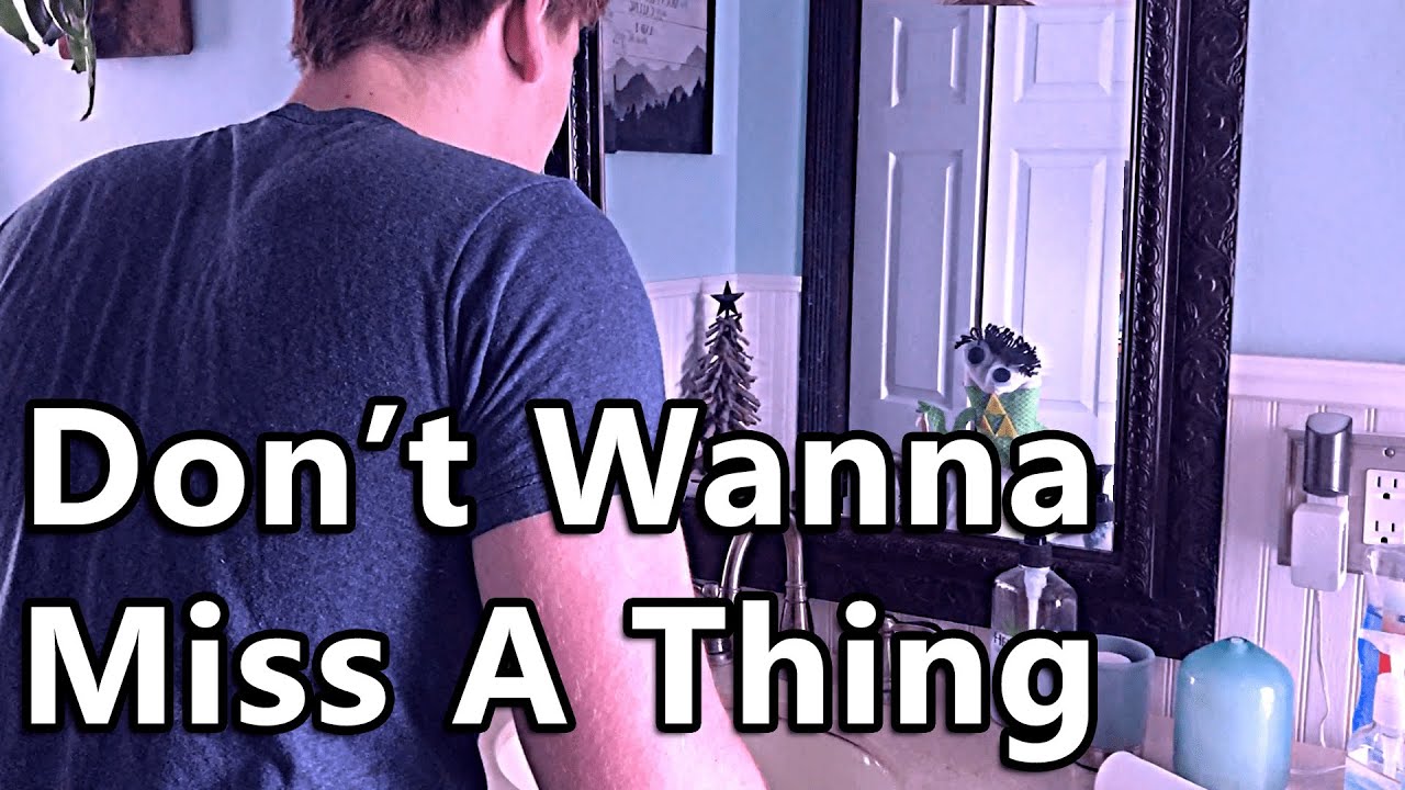 Don't Wanna Miss A Thing - Music Video Project - YouTube