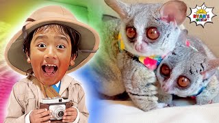 ryan reacts to baby animals like otters and bush baby