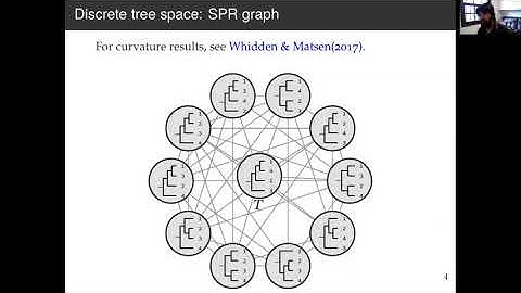 Simulation-based calibration for phylogenetics