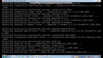 Linux Debian Wheezy 7.8 : SETUP WEB SERVER