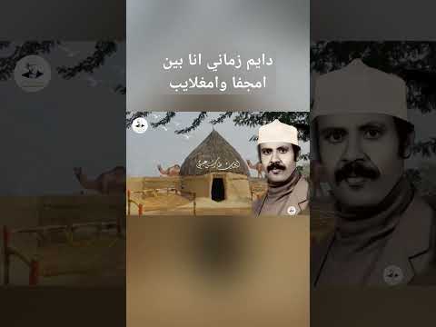 دايم زماني انا بين امجفا وامغلايب #ايوب_طارش