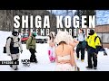 Shiga Kogen | The Weekend Warriors Meets The UDON GIRLS #vanlife #車中泊 #snowboarding