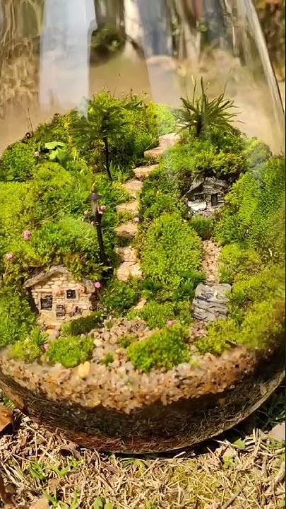 Super moss fairy garden kit