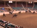 2012 Youth Nationals Highlights    Arabian Horse Global   Promoting the Arabian