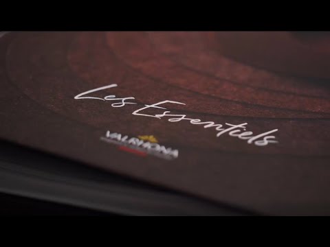 The Essentials - Reasoned Indulgence - YouTube