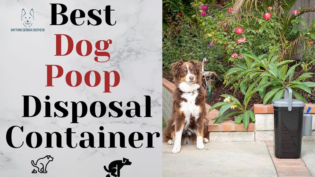 Best Dog Poop Disposal Containers YouTube