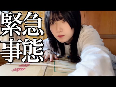 【衝撃】緊急で動画を回すことになった酒飲み独身女【酒村ゆっけ、】